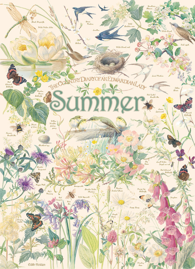Puzzle - Country Diary: Summer - 1000 Piece