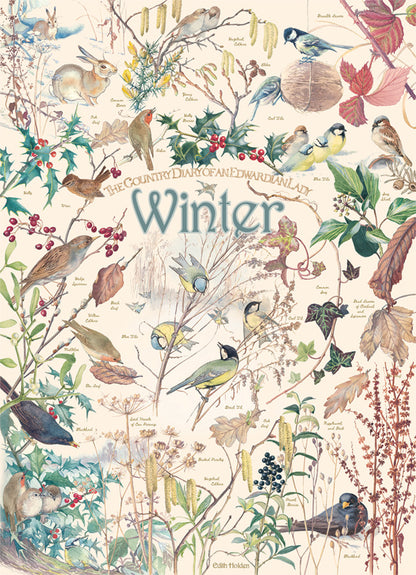 Puzzle - Country Diary: Winter - 1000 Piece