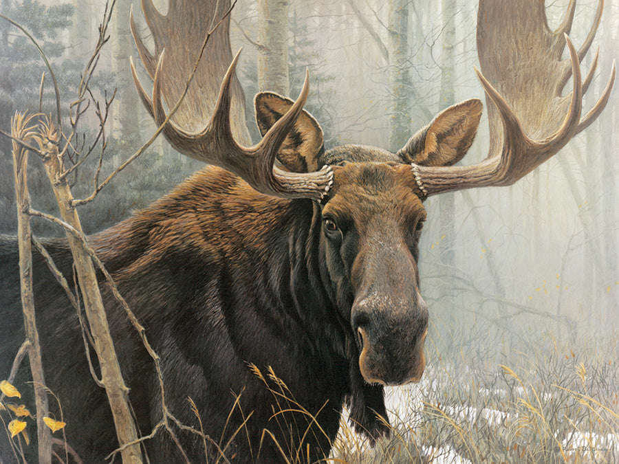 Puzzle Frame Bundle - 500 Piece - Bull Moose