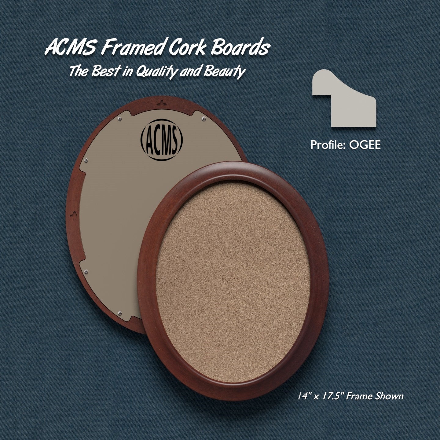 ACMS Oval Framed Corkboard - 1 3/8" OGEE Profile