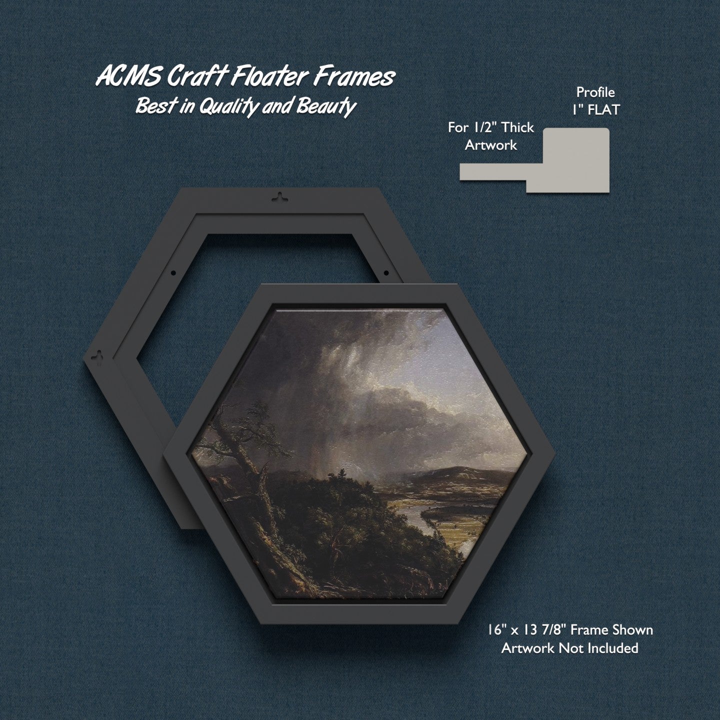 ACMS Hexagon Craft Floater Frame - For 1/2" Thick Artwork - Profile 1" FLAT