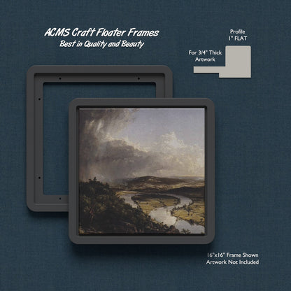 ACMS Soft Square Craft Floater Frame - For 3/4" Thick Artwork - Profile 1" FLAT - 1 1/4" Thick Frame