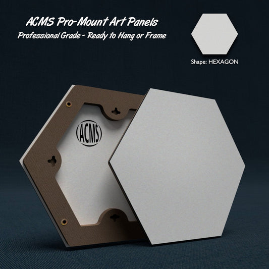 ACMS Hexagon Pro-Mount Art Panel - ACM