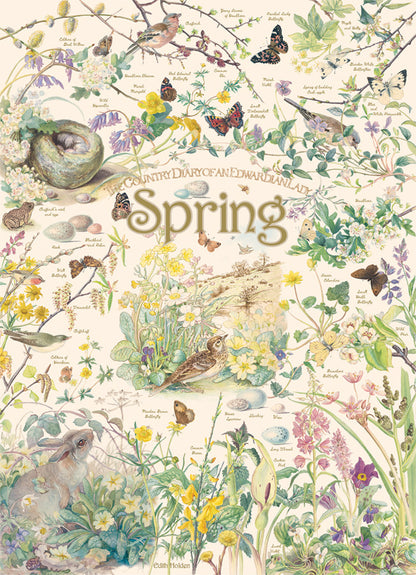 Puzzle - Country Diary: Spring - 1000 Piece