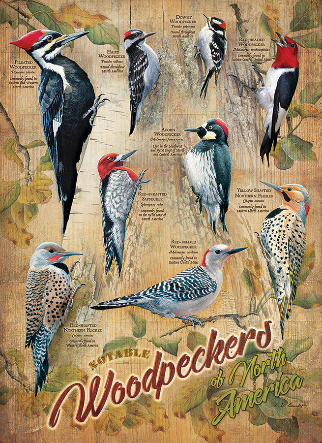 Puzzle - Notable Woodpeckers - 500 Piece